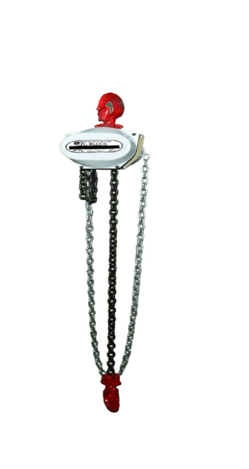Bajaj 10 ton Chain Pulley Block Upto 40 m 43 kg_0